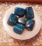 Blue Apatite Tumble