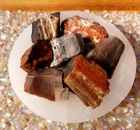 Petrified Wood Chunks