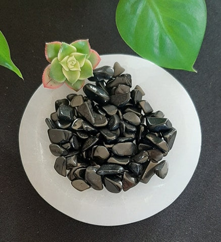 Black Obsidian Chips