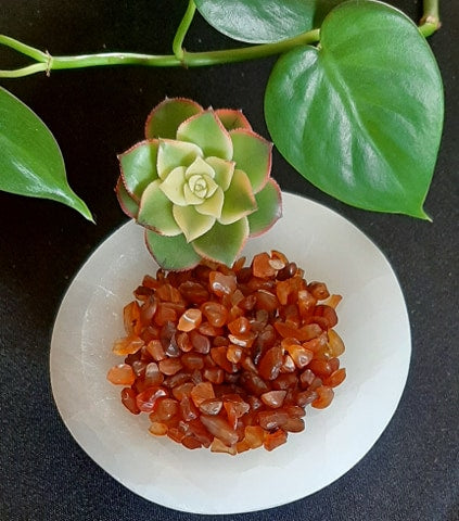 Carnelian Chips